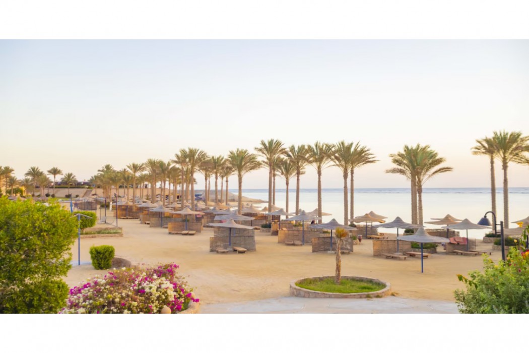 Blend Elphistone Resort Marsa Alam photo5