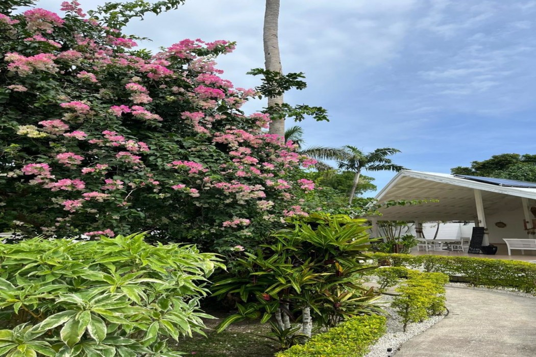 Coco Beach Resort 12/66