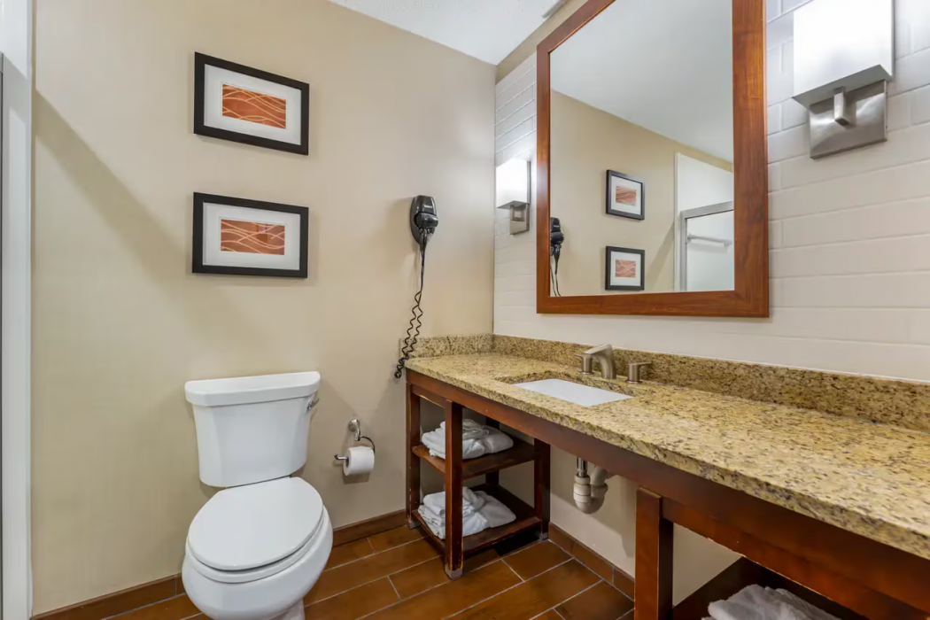 Comfort Inn & Suites Triadelphia - Wheeling 16/38