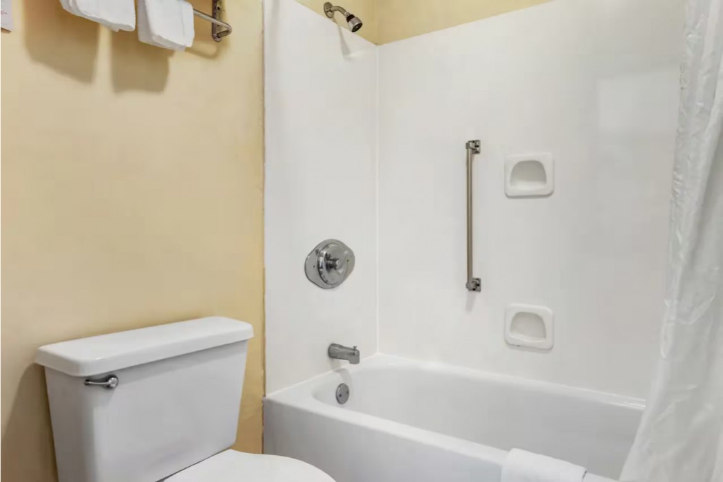 Econo Lodge Inn & Suites Forest 16/19