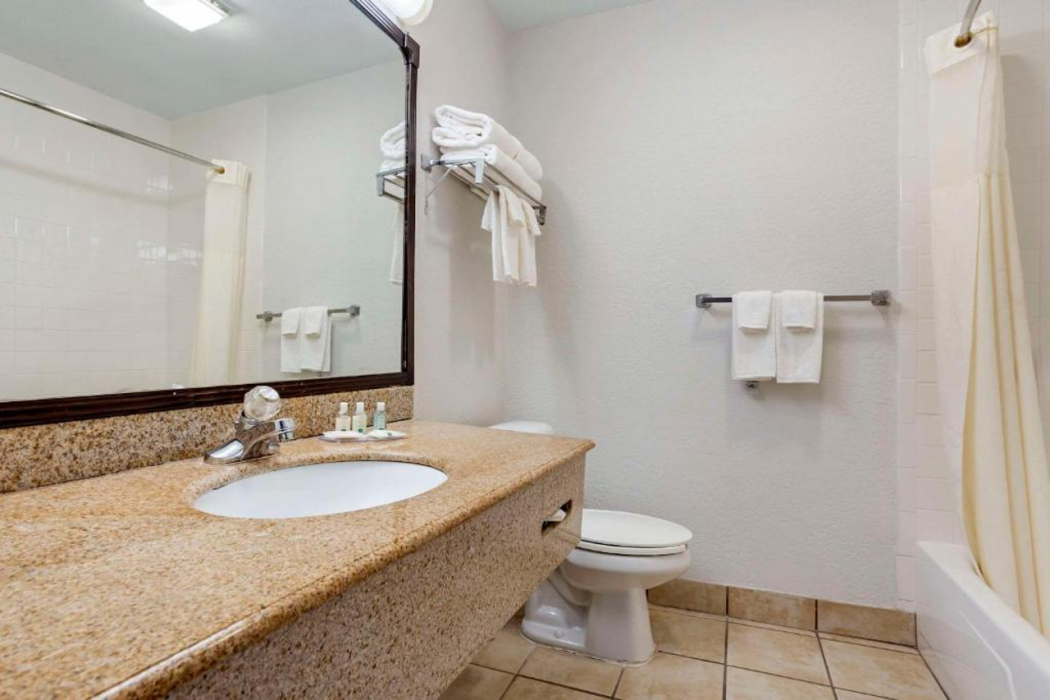 Quality Inn & Suites NRG Park - Medical Center 14/61