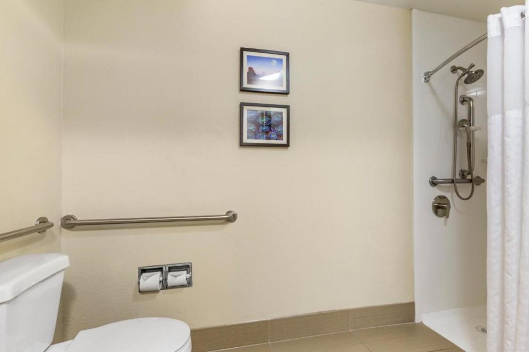 Comfort Inn and Suites Surprise Near Sun City West 13/55