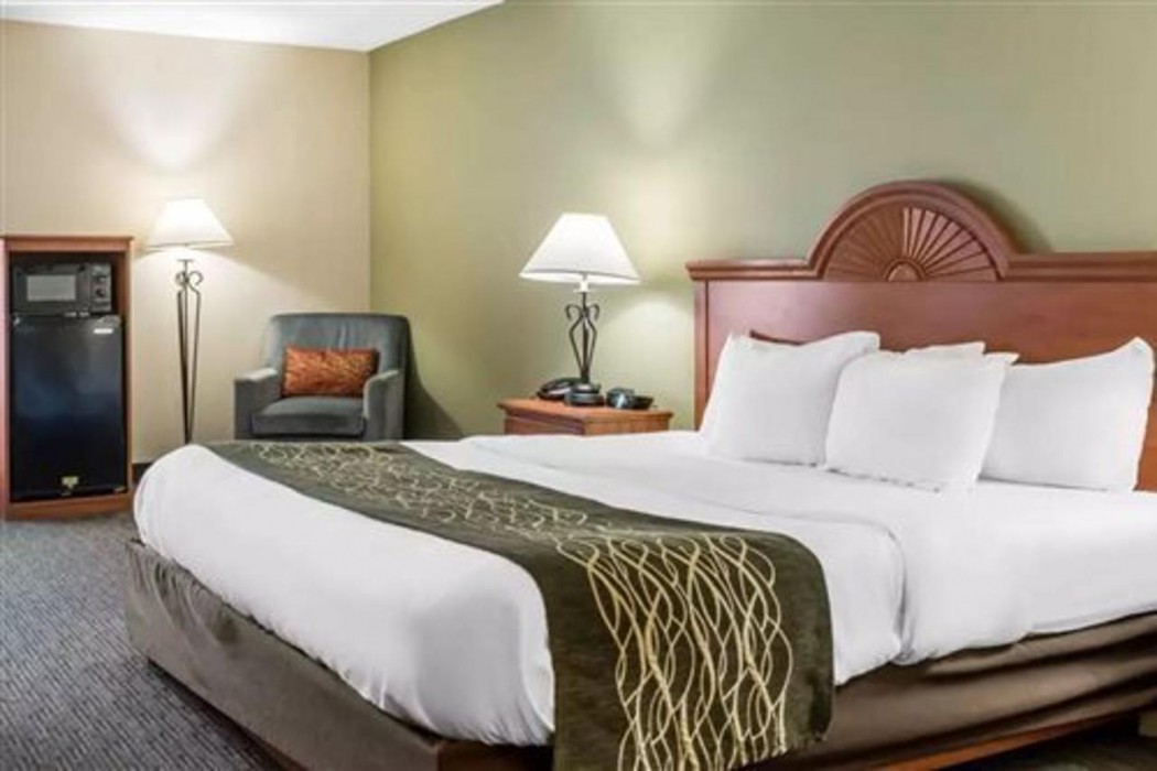 Comfort Inn Pine Grove I-81 Hershey Area 12/31