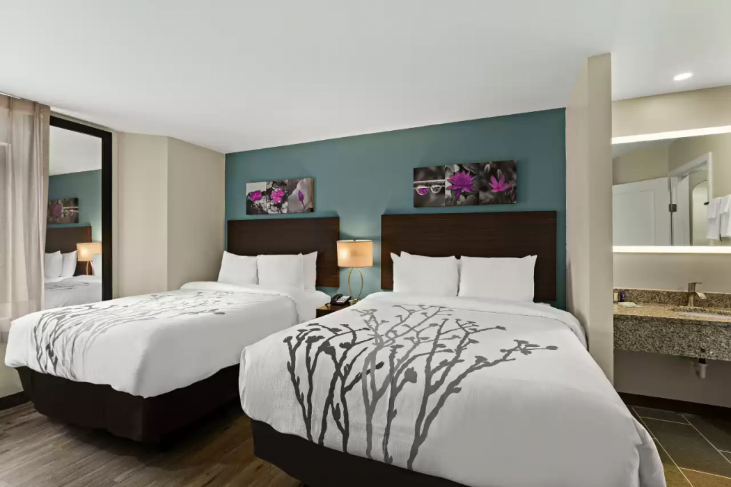 Sleep Inn Lithonia Ga 11/31