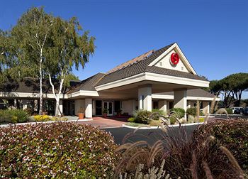 Sheraton Sunnyvale Hotel 1/28