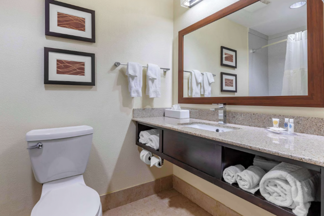 Comfort Inn & Suites Cornelius Lake Norman NC 15/47