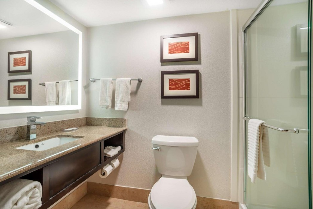 Comfort Inn & Suites Cornelius Lake Norman NC 34/47