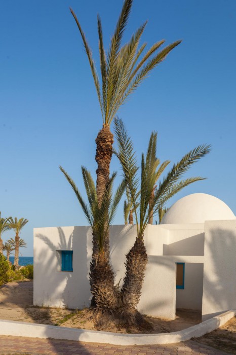 El Mouradi Djerba Menzel - Couples and Families Only 17/171