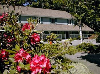 Village Cove Inn