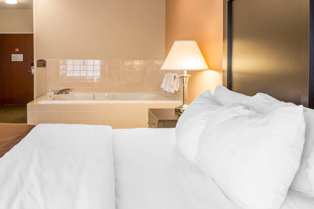 Quality Inn and Suites Niles 13/27
