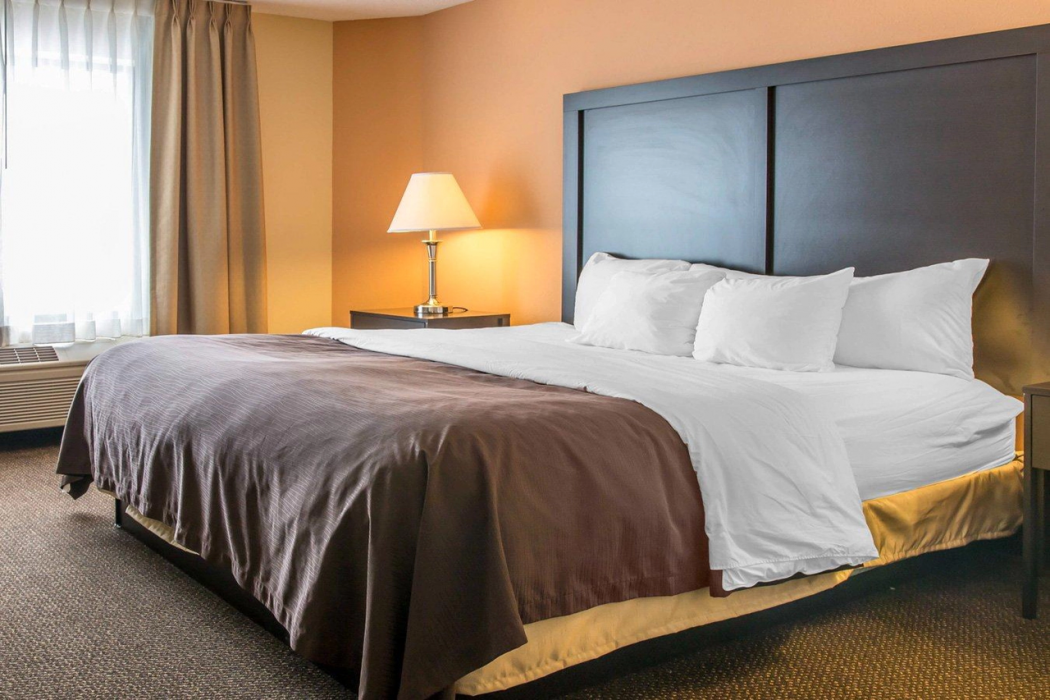 Quality Inn and Suites Niles 14/27
