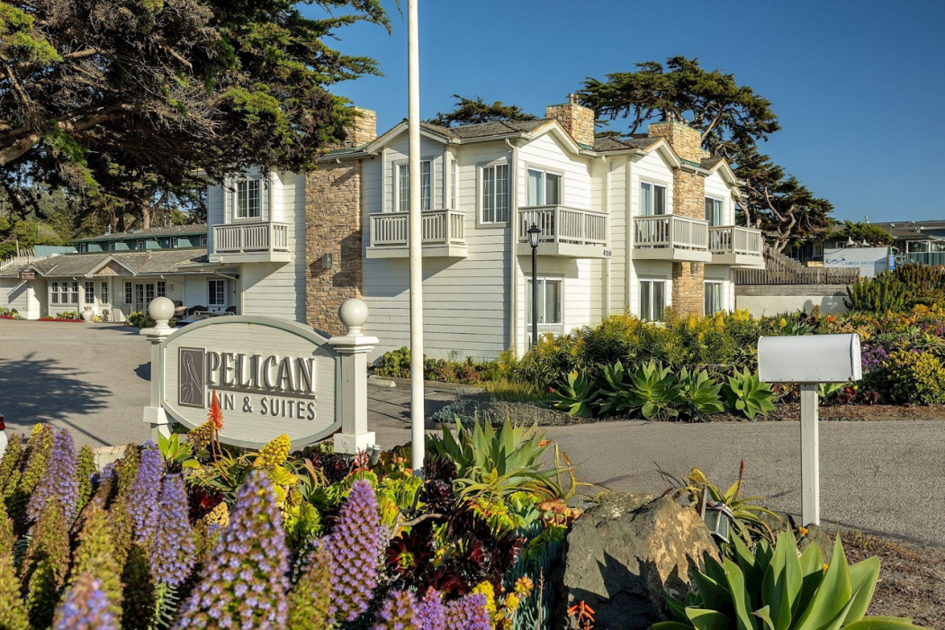 Pelican Inn & Suites 1/38