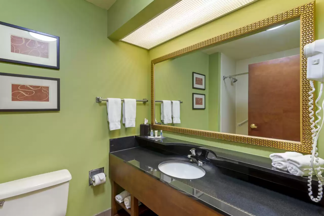 Comfort Suites Milledgeville 12/37