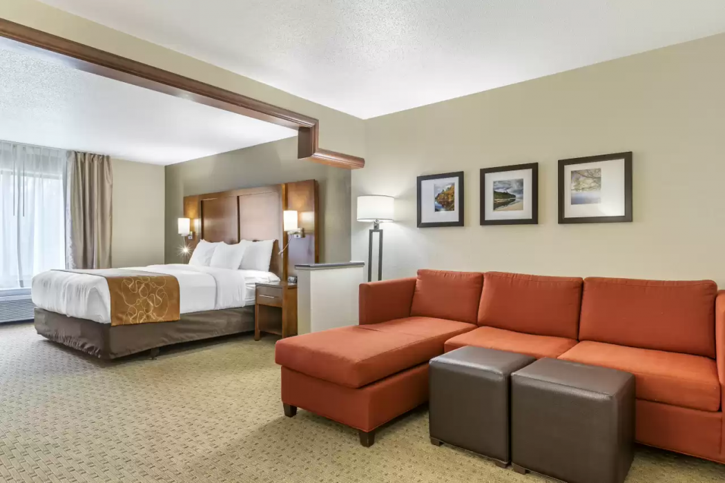 Comfort Suites Grand Rapids North 17/30