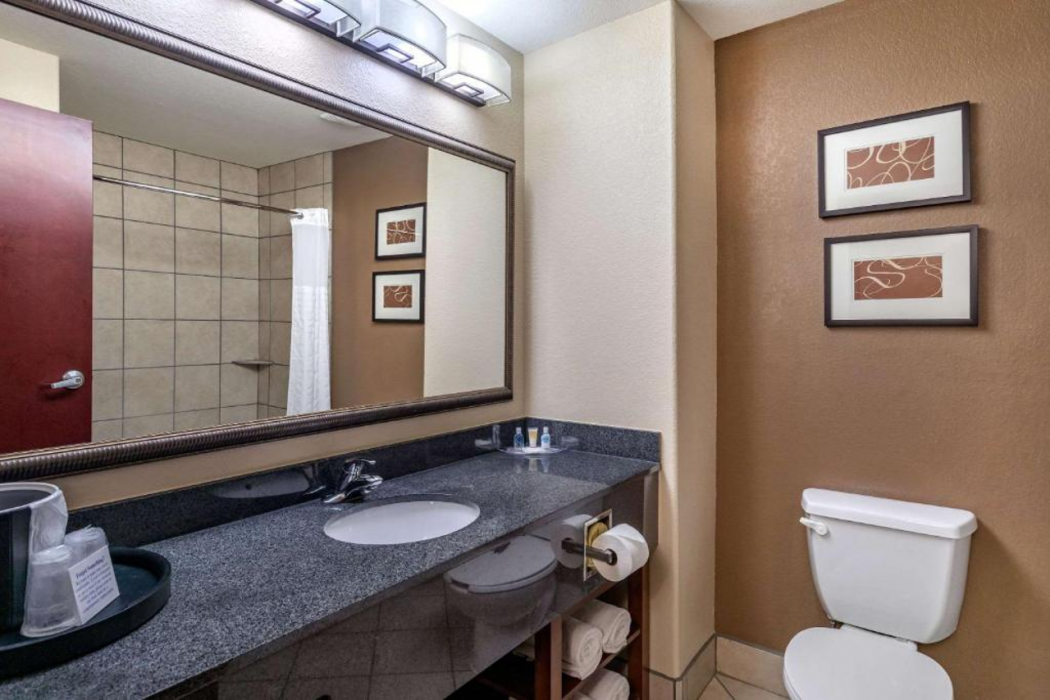 Comfort Suites Ennis TX 20/43