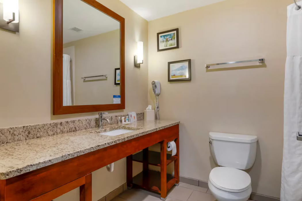 Comfort Suites Kingsport South 10/32