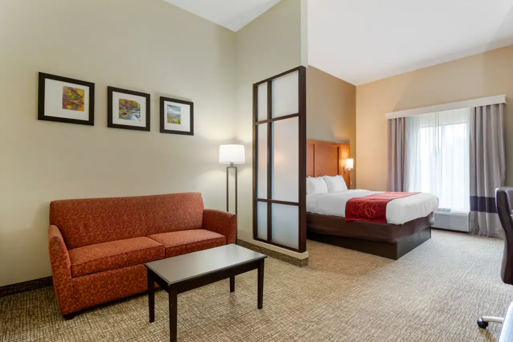 Comfort Suites Kingsport South 13/32
