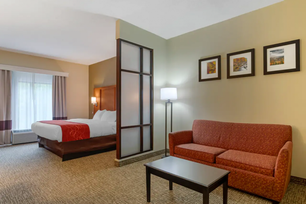 Comfort Suites Kingsport South 12/32