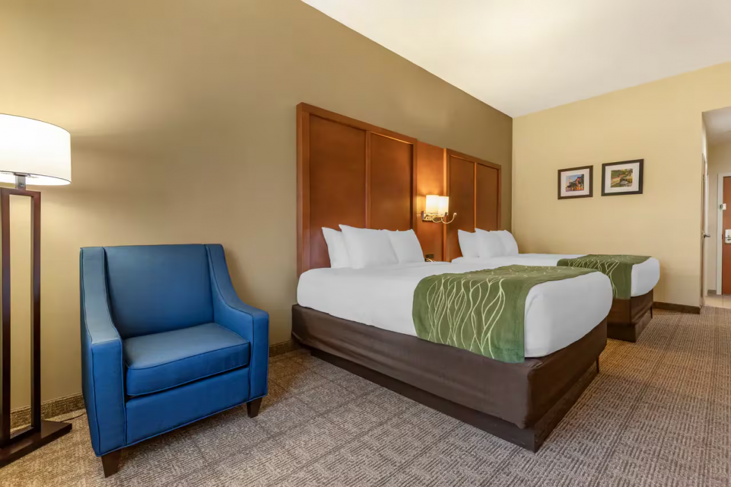 Comfort Inn & Suites Orangeburg 15/36