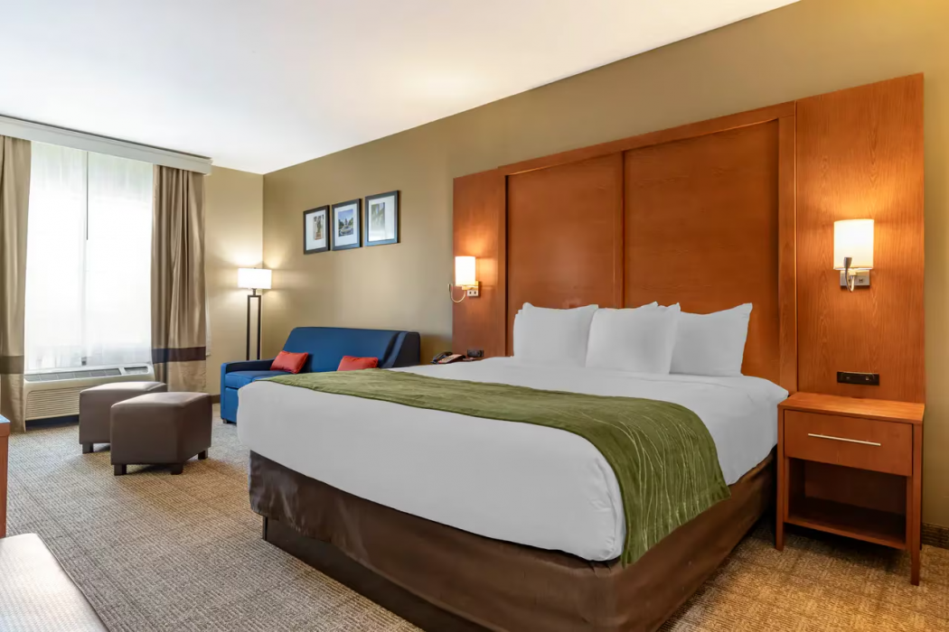 Comfort Inn & Suites Orangeburg 10/36