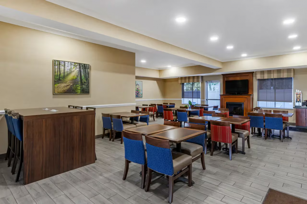 Comfort Inn & Suites Orangeburg 19/36