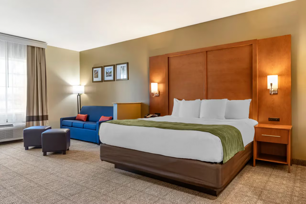 Comfort Inn & Suites Orangeburg 14/36