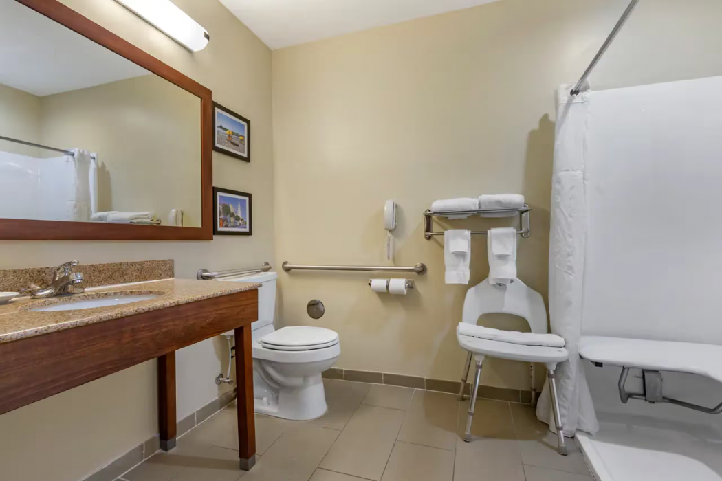 Comfort Inn & Suites Orangeburg 17/36