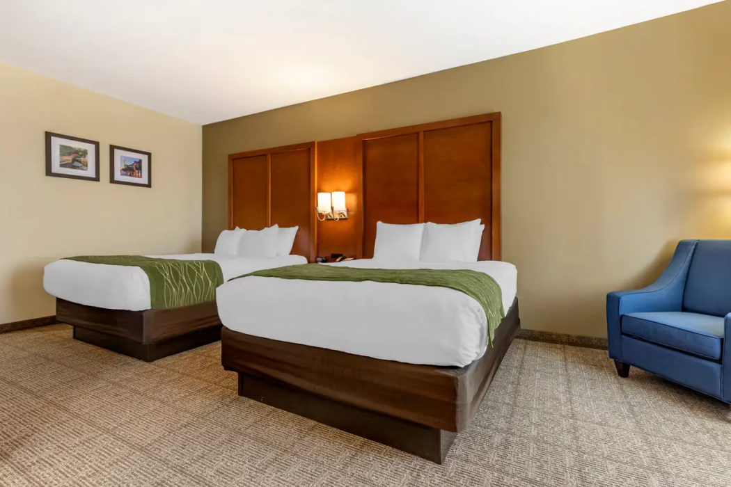 Comfort Inn & Suites Orangeburg 8/36