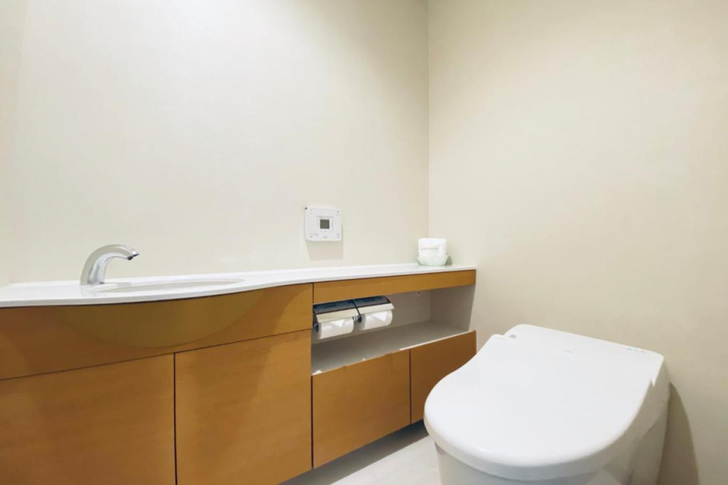 Hiroshima Tokyu REI Hotel 18/70