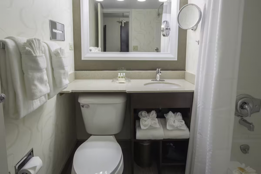 Wyndham Rochester Downtown 10/61