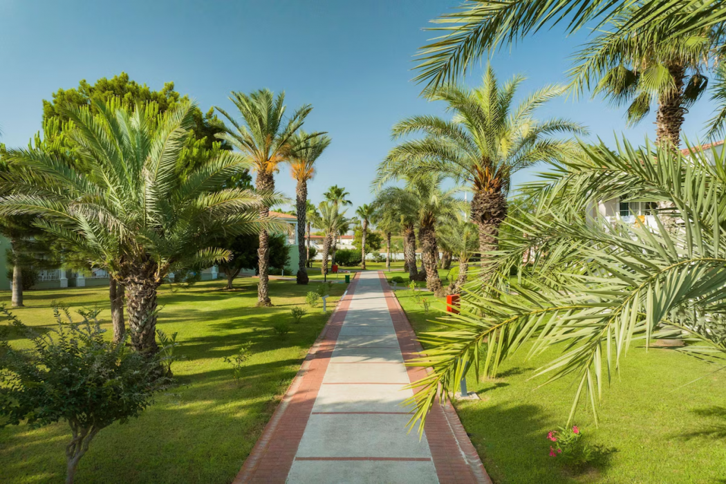 Asteria Family Resort Side 32/86