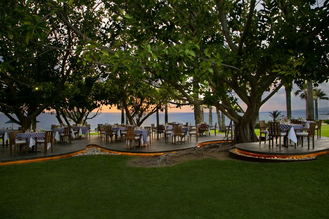 Azia Resort and Spa 48/98