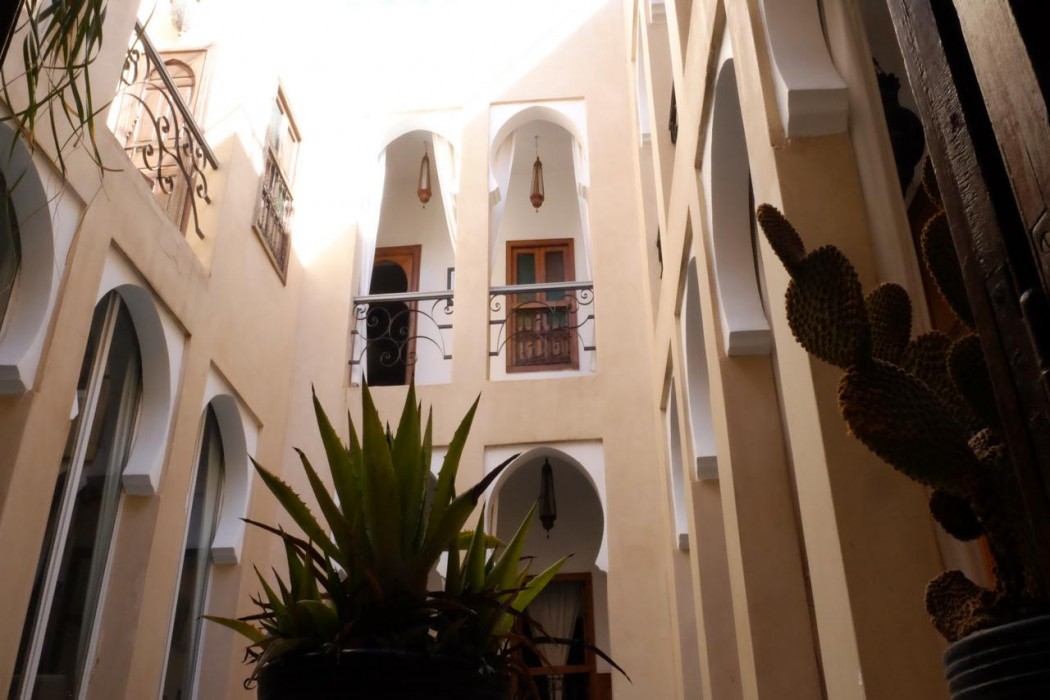 Riad Nafis 1/25