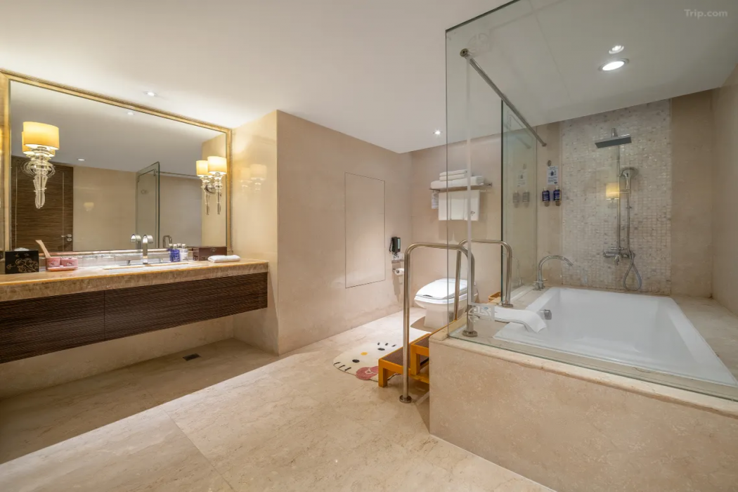 Dorsett Grand Chengdu 16/59