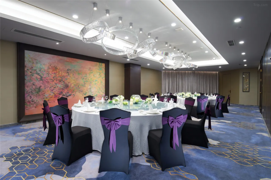 Dorsett Grand Chengdu 26/59