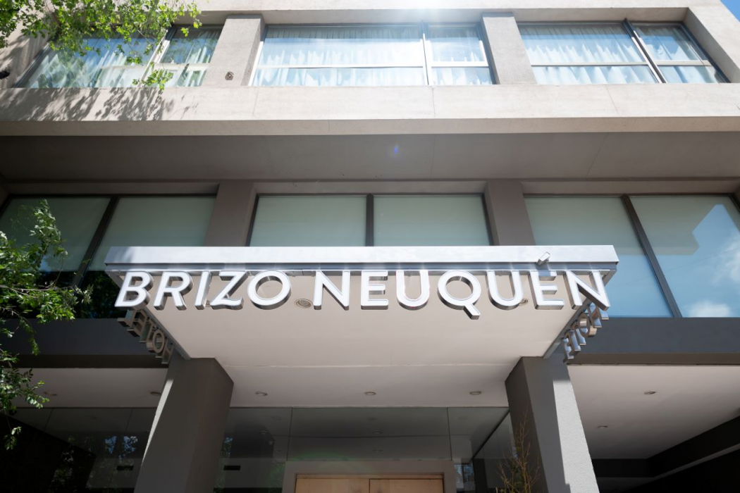 Brizo Neuquen 1/46