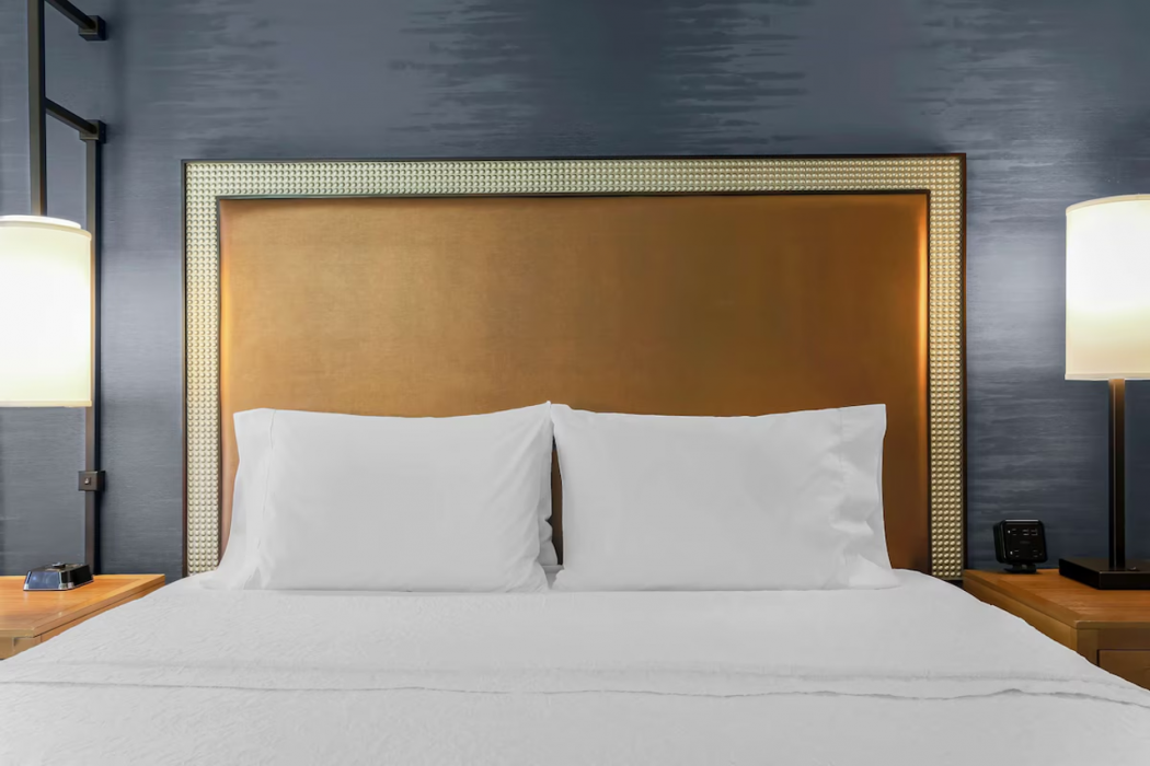 Hampton Inn & Suites Austin-Downtown 18/51