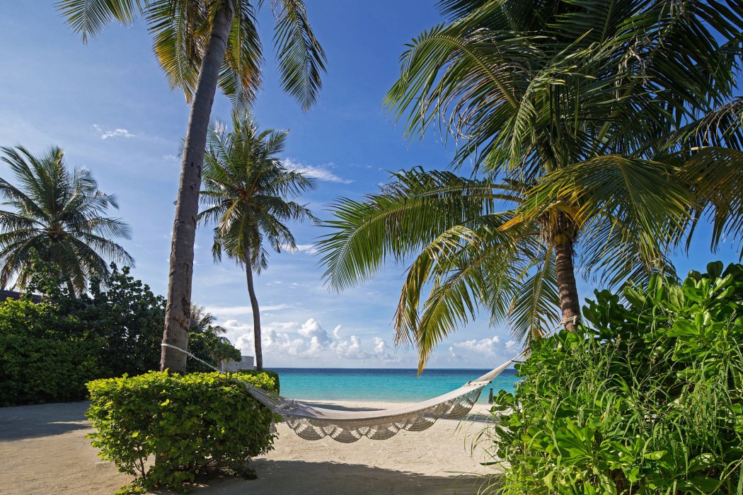 Ozen Reserve Bolifushi 79/136