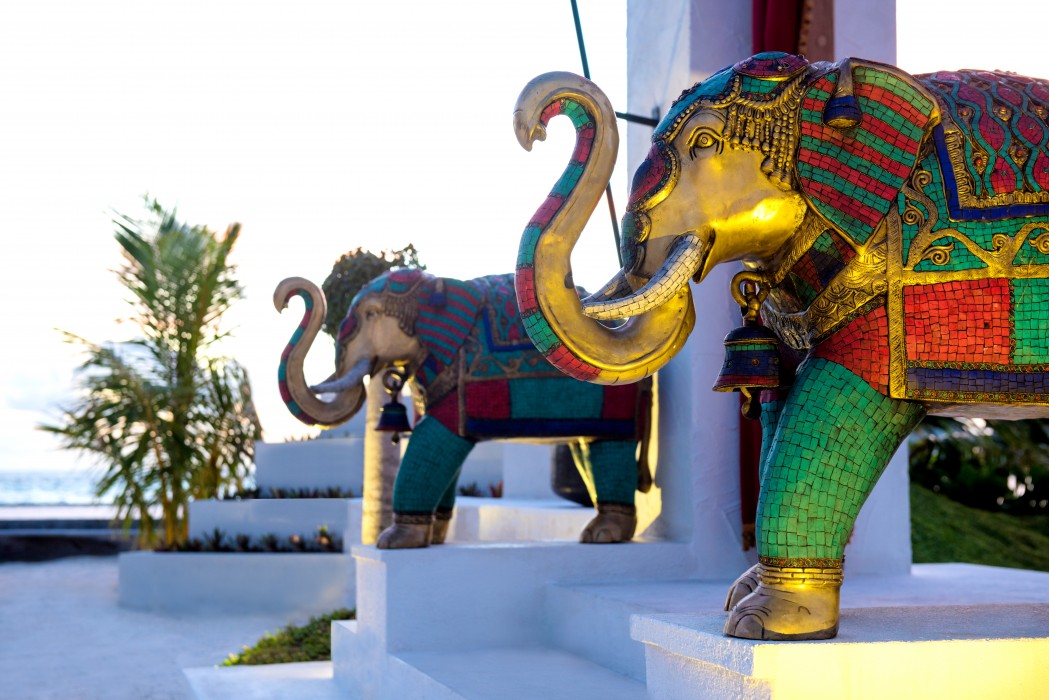 Ozen Reserve Bolifushi 76/136