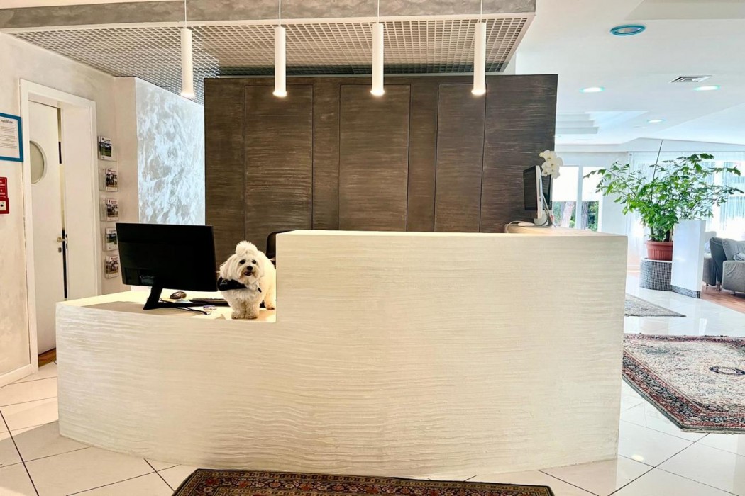 Hotel Alemagna 10/117