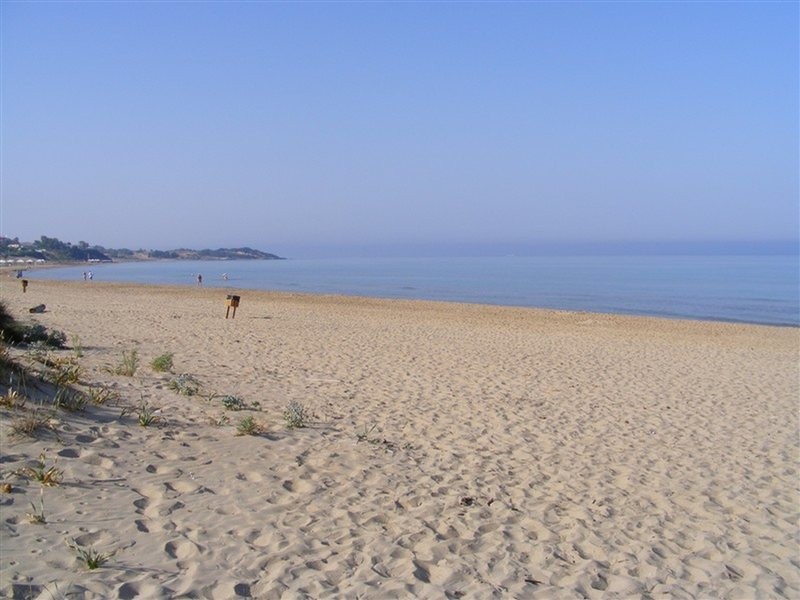 lintzi