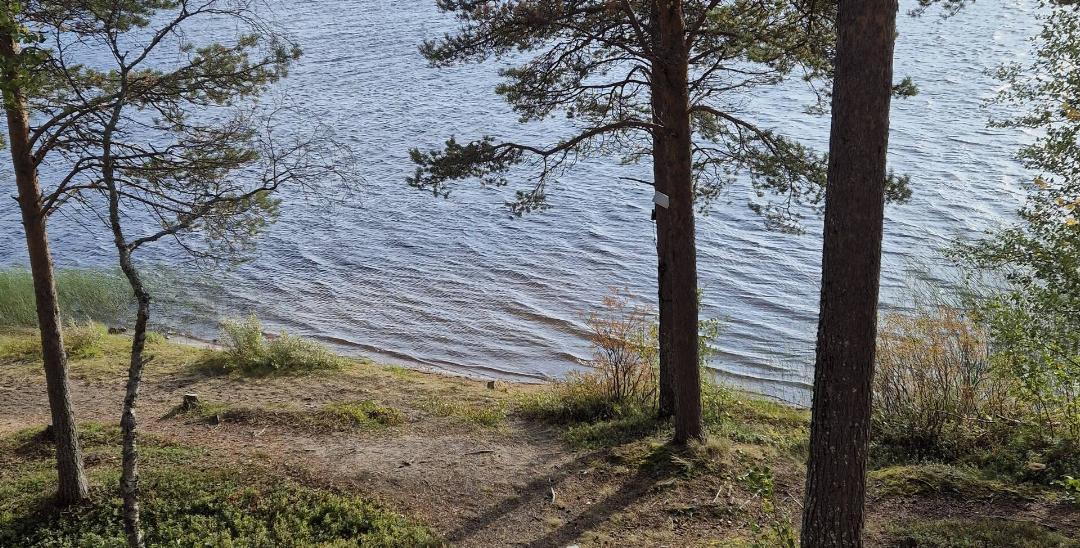 Lapland Hotels Hetta 42/57
