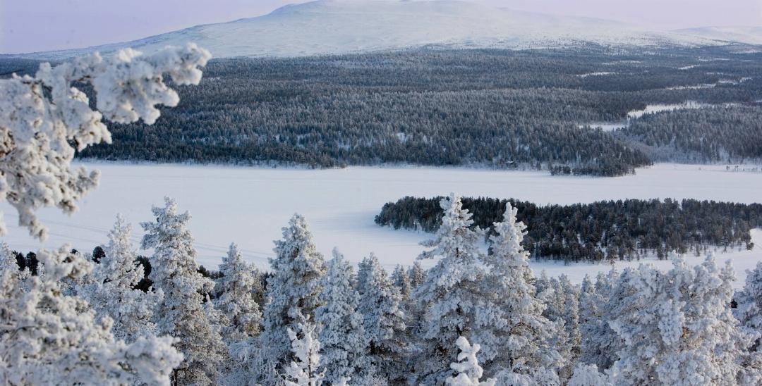 Lapland Hotels Hetta 47/57