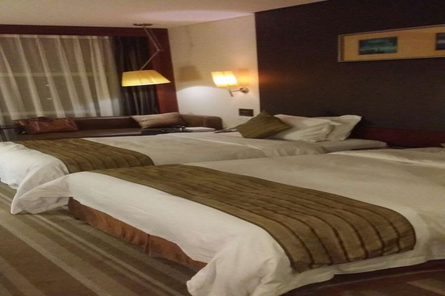 Lafonte International Hotel 31/67