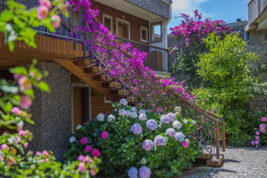 Costa Farilya Special Class Hotel 6/71