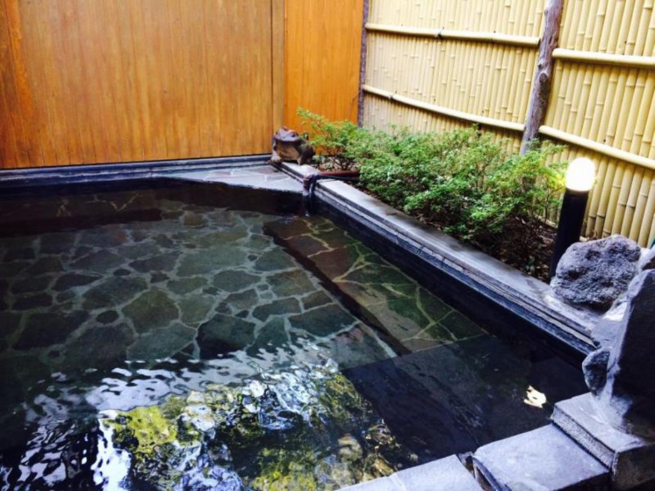 ENOKIYA RYOKAN 20/50