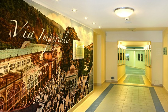 Imperial Ensana Health Spa Hotel 4/10