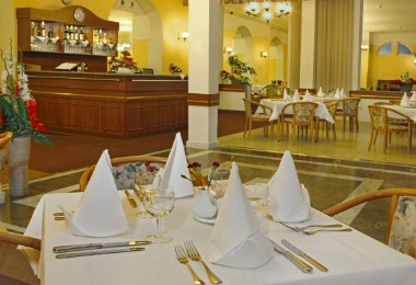 Vltava Ensana Health Spa Hotel 25/38