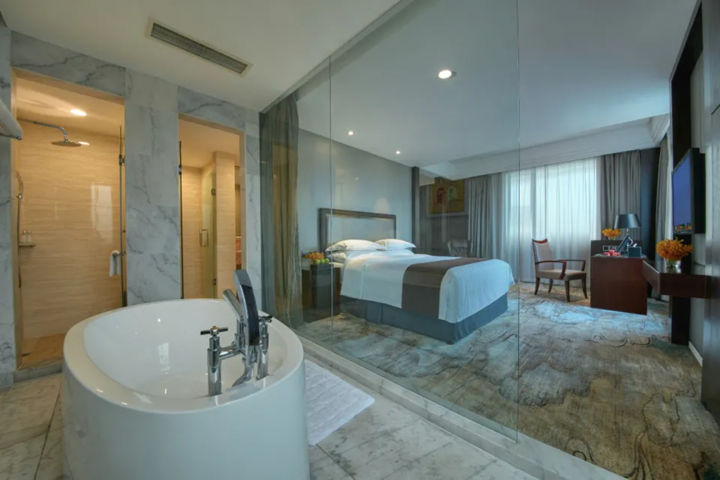 Manju Hotel (Shanghai New International Expo Centre) 13/51