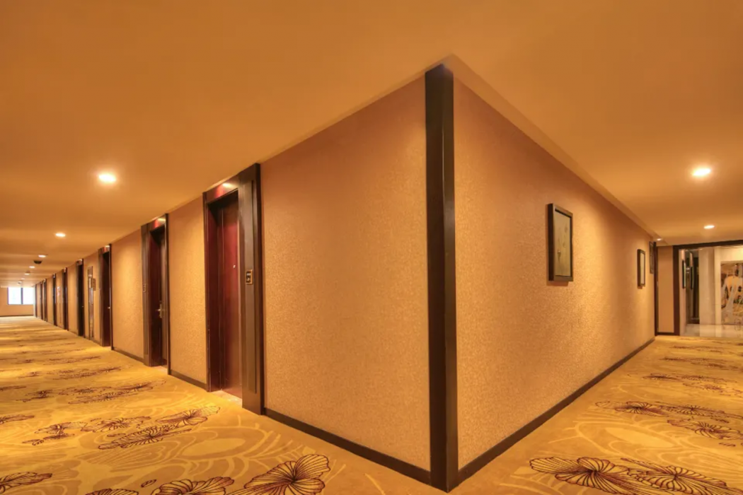Manju Hotel (Shanghai New International Expo Centre) 30/51